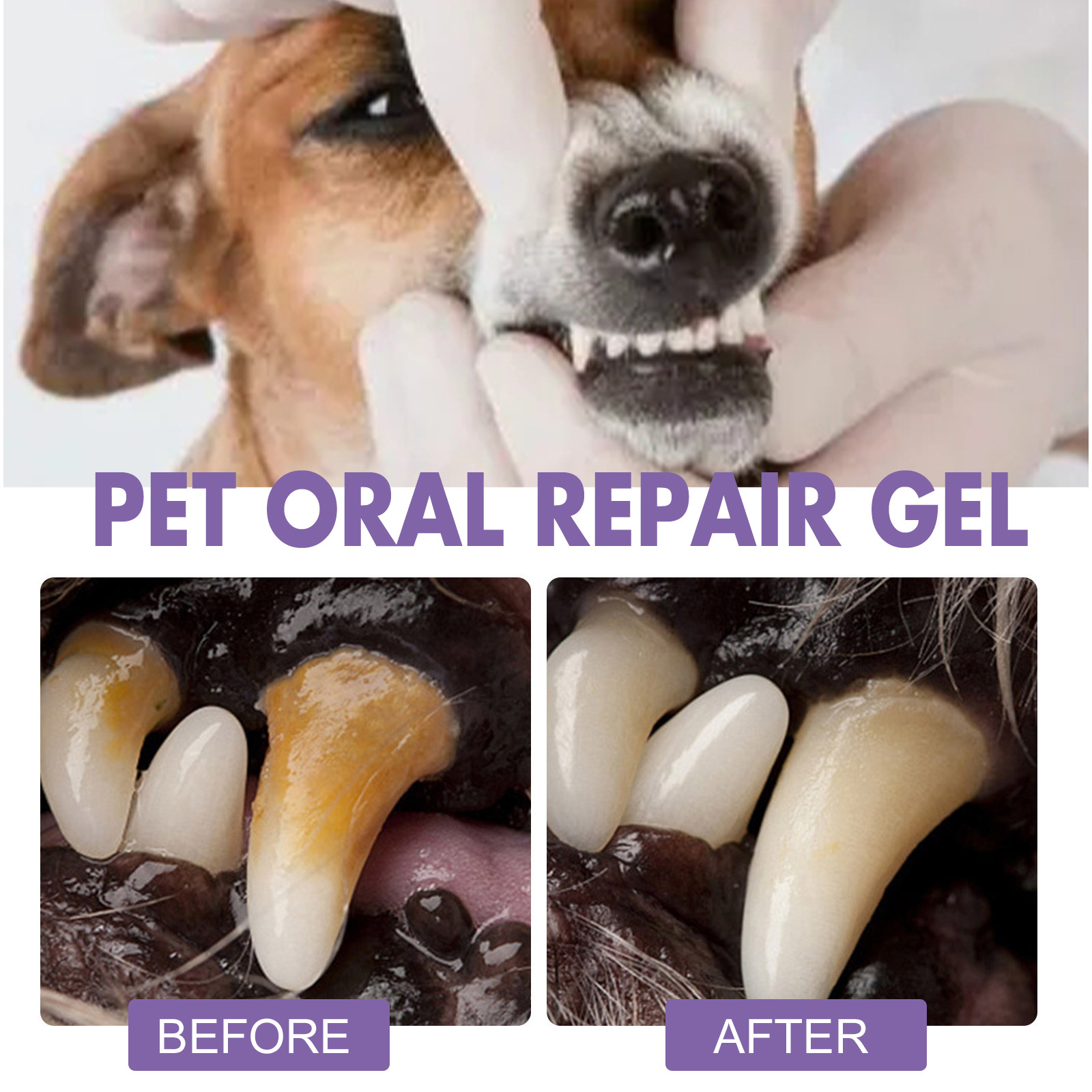 Pet Oral Onarım Jeli Yavru Tar - Teeth Whitening Gum incelemesi ve fiyatı